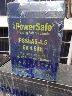 Powersafe 6V Battery Rechargeable 4.5AH Lead Battery