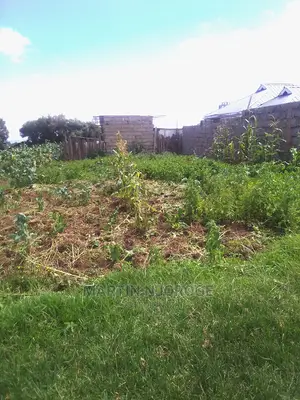 50 by 100 Acre Plot Kinungi