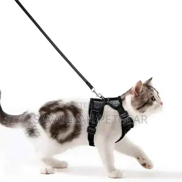Comfort Travel Adjustable Cat Harness Leash