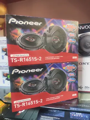 Pioneer Ts-R1651s-2