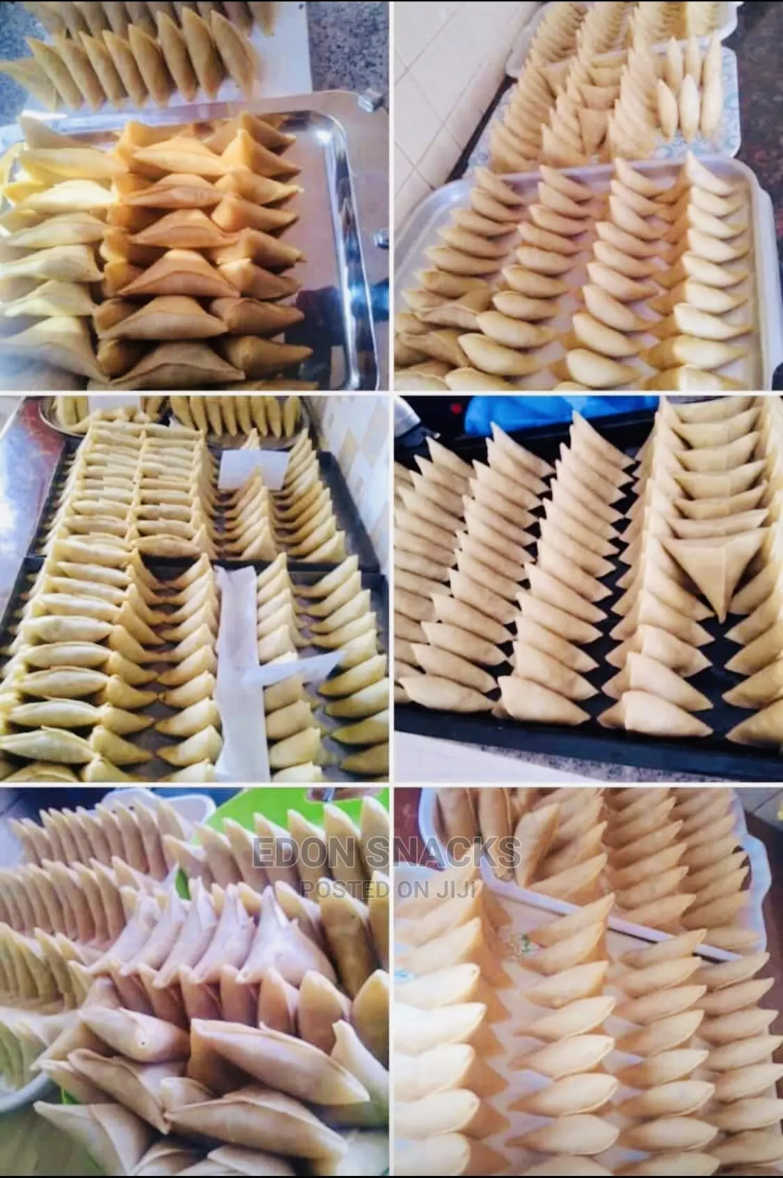 Chicken Samosaz