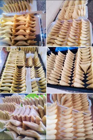 Chicken Samosaz