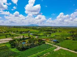 Malaa Plots in a Green Environment Mw