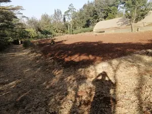 Half Acre Land in Ngong: Easy Tarmac Access - For Sale