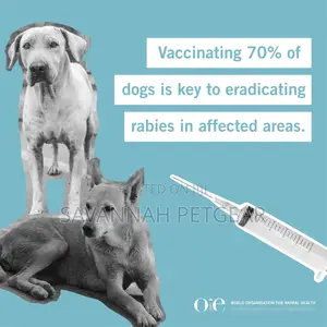 Rabies Vaccination