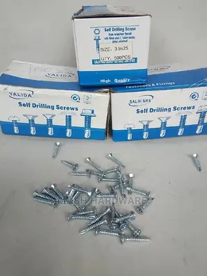 1"(3.9*25) Self Drilling Screws(500pcs)