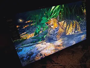 Lg 55inches Qned80