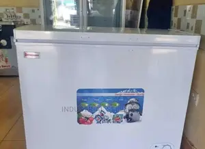 High Efficiency Commercial Chest Freezer