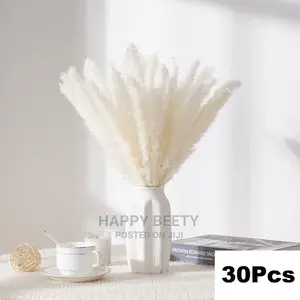 Mini Pampas Grass
