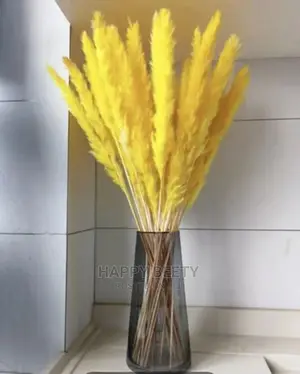 Mini Pampas Grass