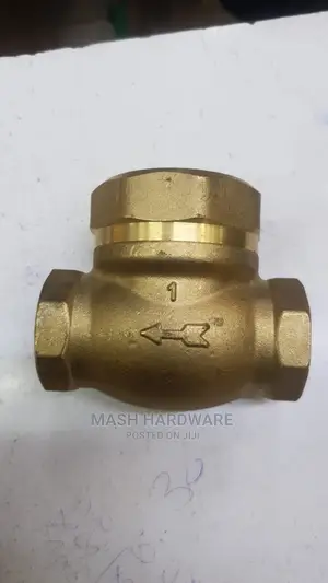 1" Lirlee Non-Return Valve