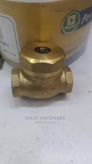 1" Lirlee Non-Return Valve