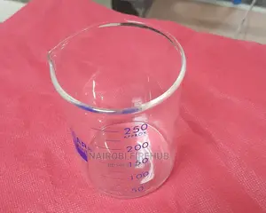 Graduated Scale Beaker For School Laboratory