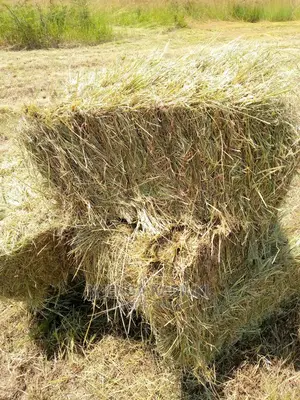 Pure Bomarhode Hay