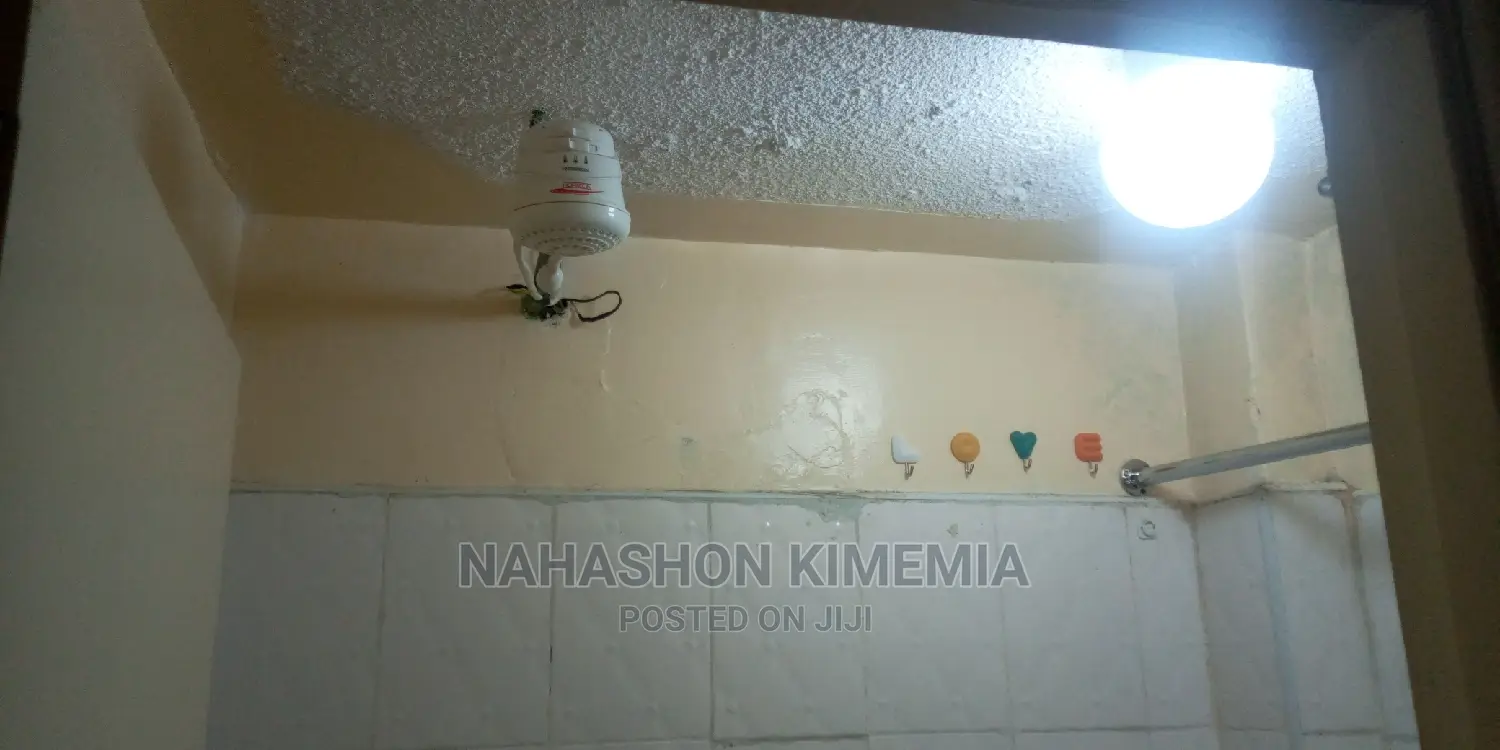 Gold Airbnb Studio Lumumba Drive Roysambu Thika Road
