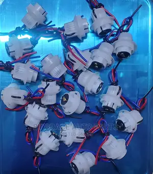 Bulbs Holders