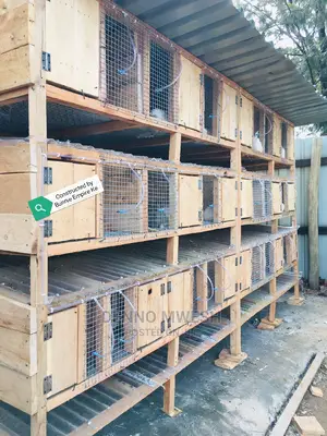 Rabbit Cage / House