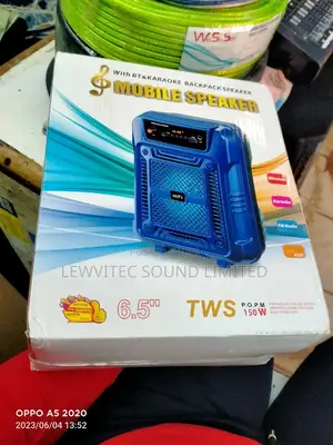 Karaoke Speaker