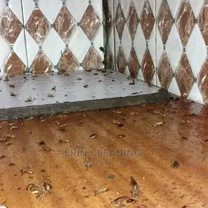 Cheap Cockroach Services