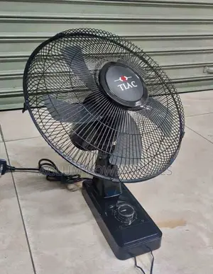 Wall Mounted Fan