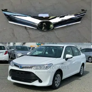 Axio/Fielder 2015 2016 2017 Grille