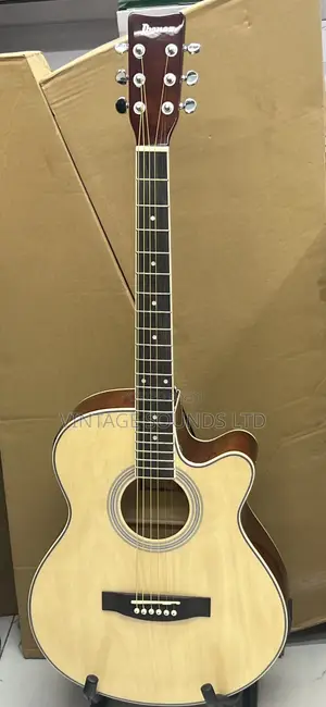 Full Acoustic Box Guitar and Heavy Padded Guitar Bag