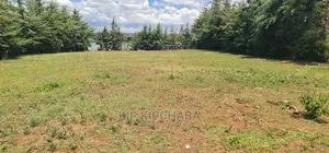 Plots for Sale in Mountainview Kipkorgot in Eldoret