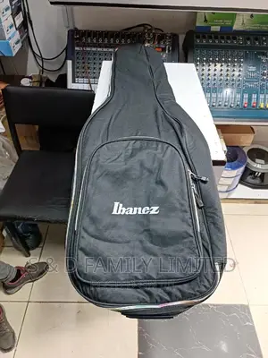 Bass Guitar Padded Bag