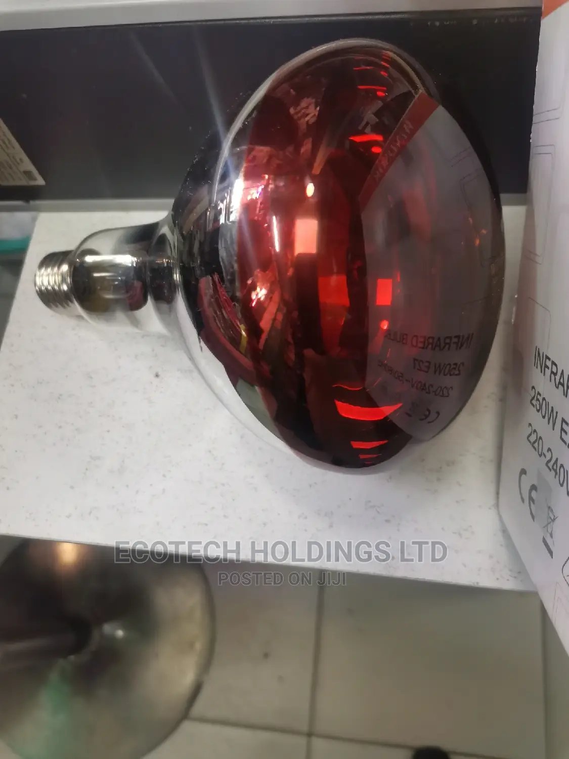 Chicken Bulb
