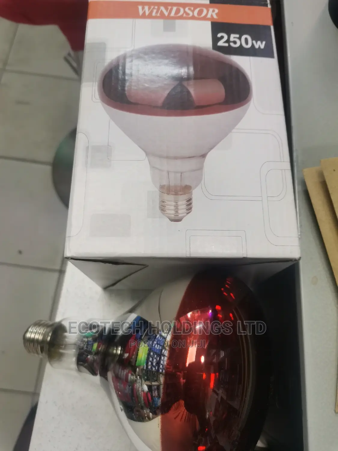 Chicken Bulb