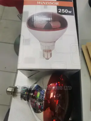 Chicken Bulb