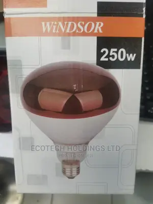 Chicken Bulb
