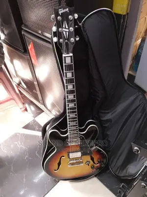 Gibson Les Paul Guitar