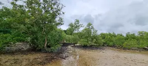 First Row Creek Beach Mtwapa,6 Acres On Sale