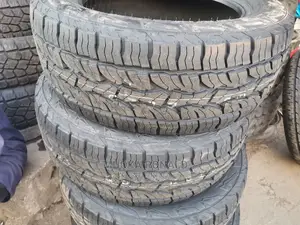 255/55r18 Dunlop Tyre (A/T