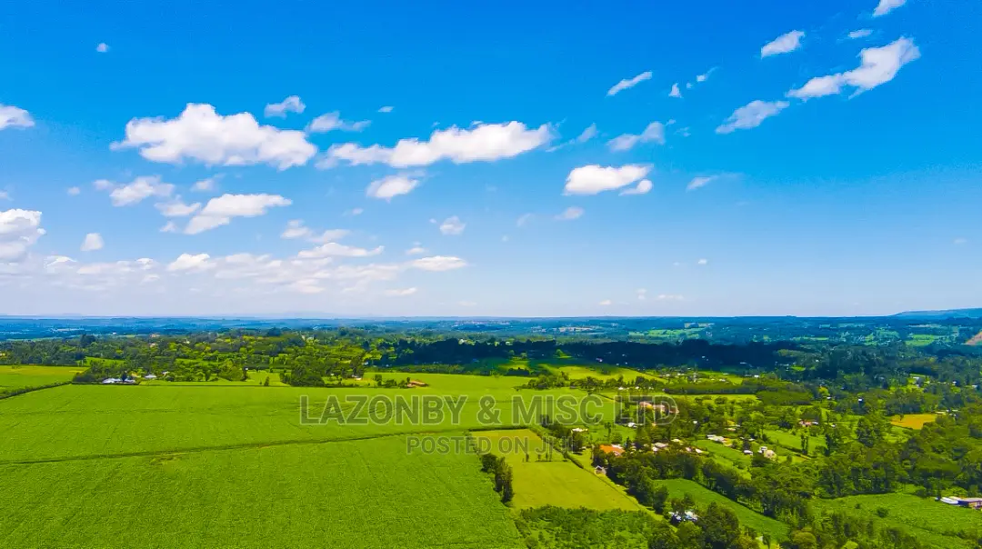 Drone Services