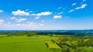 Drone Services