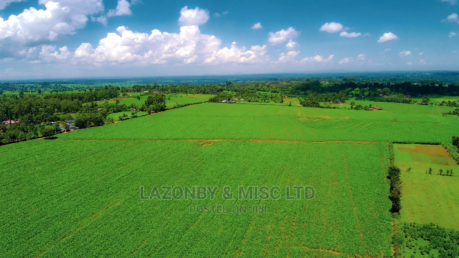 Drone Services