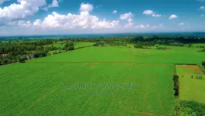 Drone Services