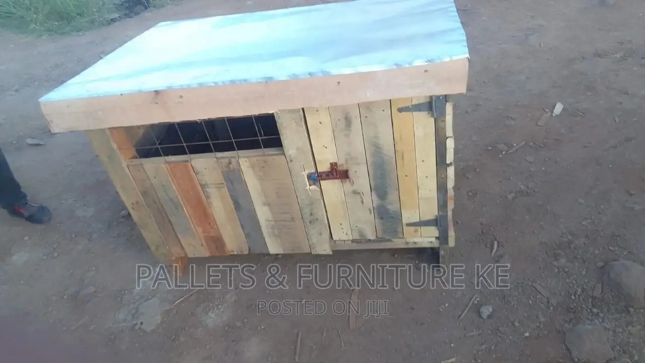Kennels 076