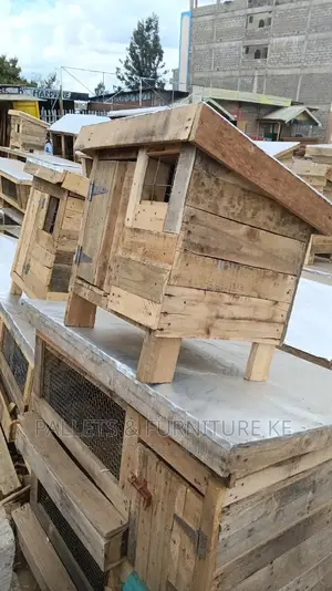 Chihuahua House/ Kennels