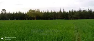 Narumoro Land, 5 Acre Land