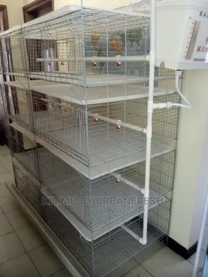 Chicks Battery Cage Can Accommodate 400 Chicks