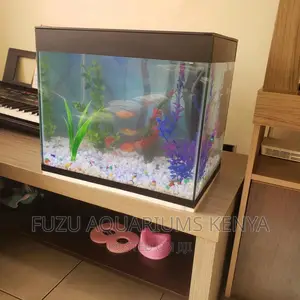 Aquarium With Deco and Fish