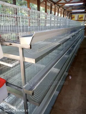 A-96 Layer Battery Cage.
