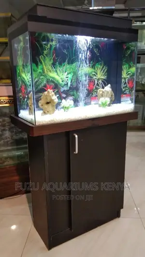 Unique Medium Aquarium