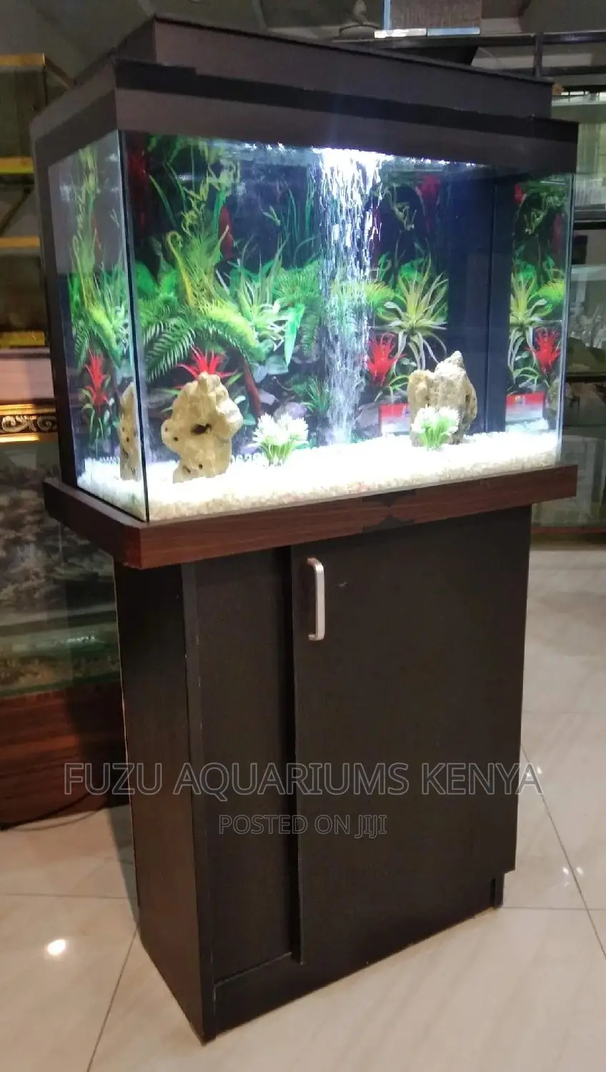 Unique Medium Aquarium