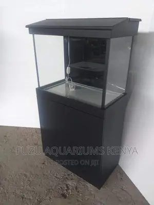 Unique Black Aquarium