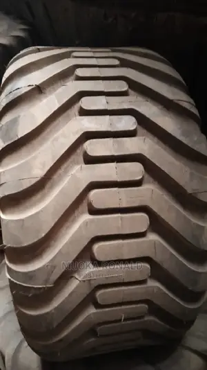 550/60-22.5 Triangle Tyre (Nylon