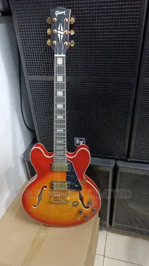 Gibson ES-335
Electric Guitar
